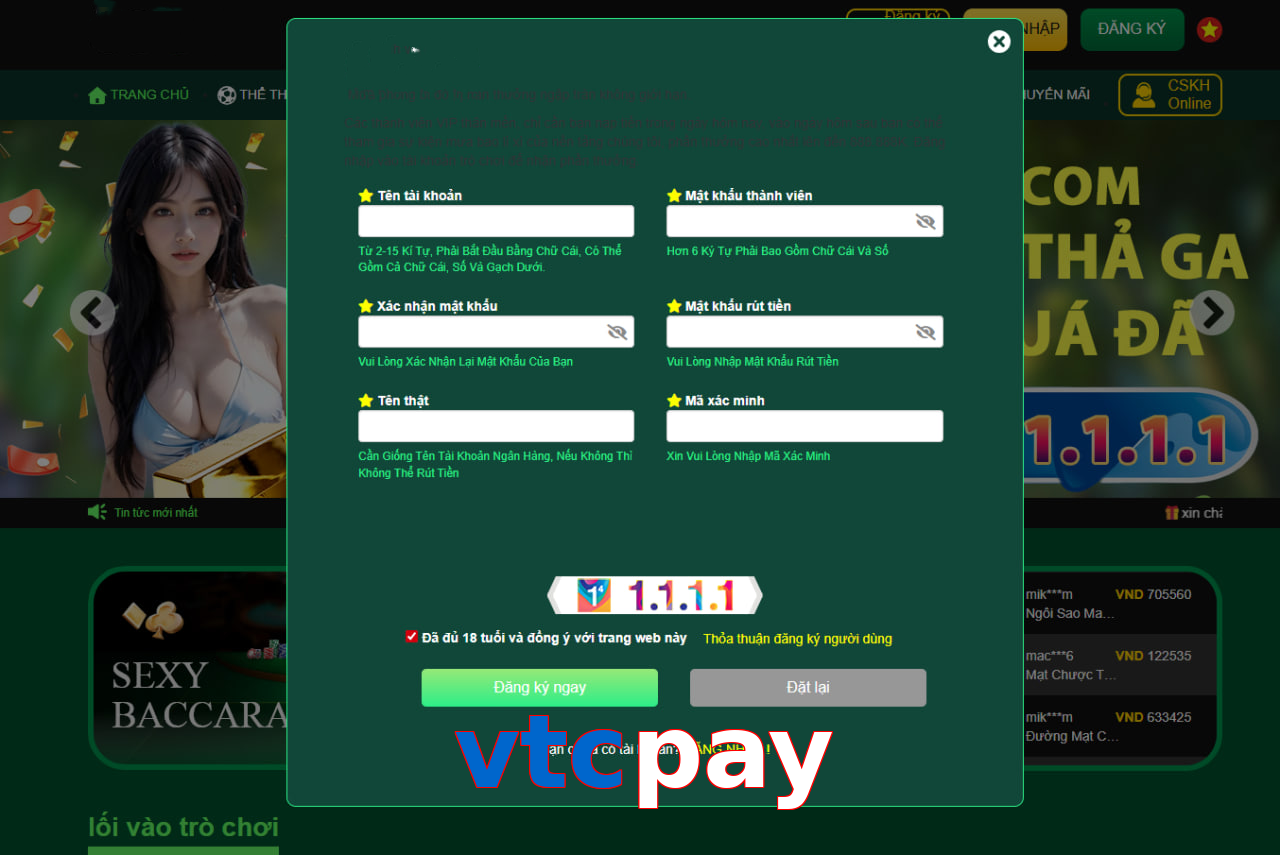vtcpay